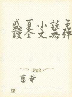 盛夏小说免费阅读全文无弹窗封面