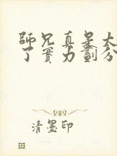 师兄真是太稳重了实力划分