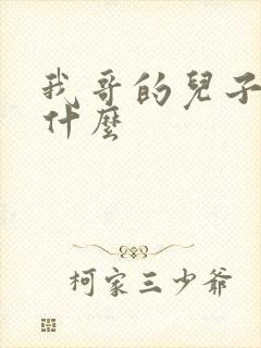 我哥的儿子我叫什么封面