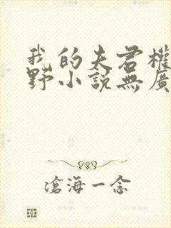 我的夫君权倾朝野小说无广告