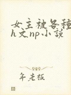 女主被各种调教h文np小说