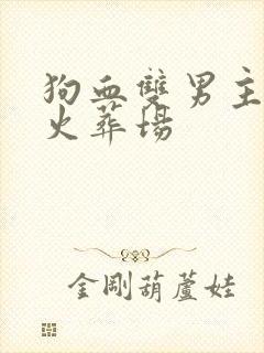 狗血双男主追妻火葬场