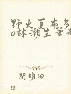 野火夏布多昂po林潮生笔趣阁