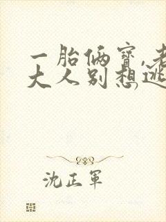一胎俩宝,老婆大人别想逃小说txt