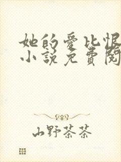 她的爱比恨长久小说免费阅读封面