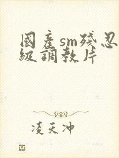 国产sm残忍一级调教片