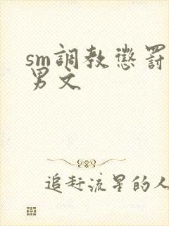 sm调教惩罚男男文封面
