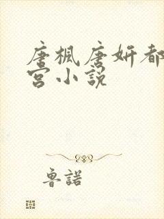 唐枫唐妍都市后宫小说