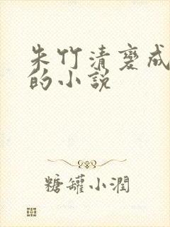 朱竹清变成朱奴的小说
