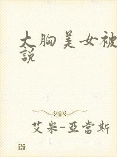 大胸美女被插小说