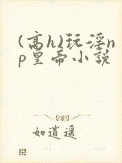 (高h)玩淫np皇帝小说