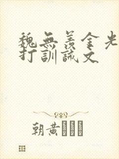 魏无羡金光瑶挨打训诫文封面