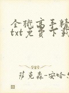 全职高手精校版txt免费下载
