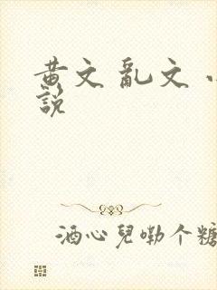 黄文 乱文 小说封面