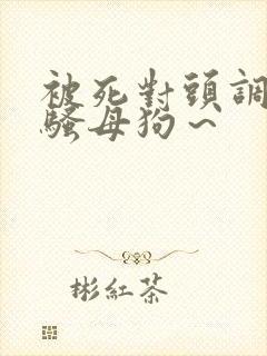 被死对头调教成骚母狗～