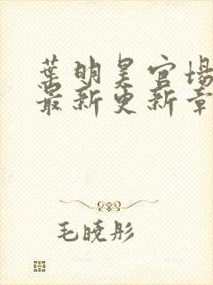 叶明昊官场小说最新更新章节阅读封面