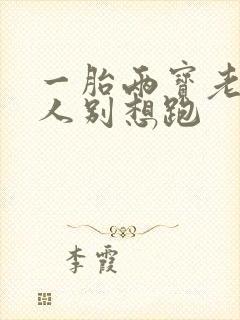 一胎两宝老婆大人别想跑
