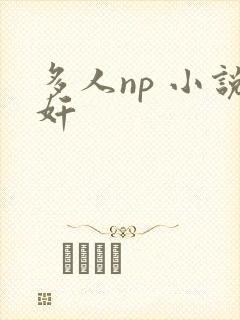 多人np 小说奸