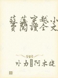 苏落穿越小说免费阅读全文