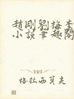 赵刚刘梅李晓雅小说笔趣阁
