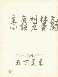 主角叫林凡叶惜小说免费阅读