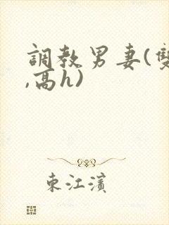 调教男妻(双性,高h)封面