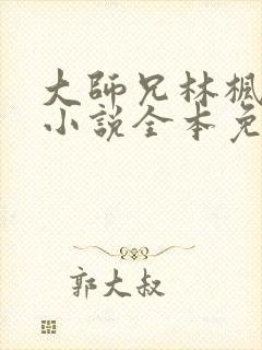 大师兄林枫穿越小说全本免费阅读封面