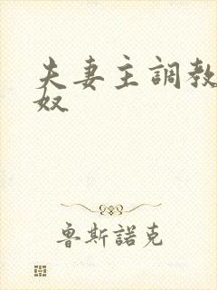 夫妻主调教夫妻奴