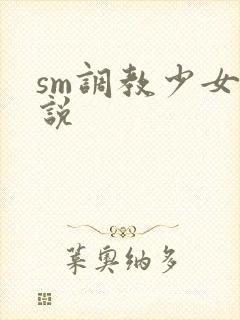 sm调教少女小说封面