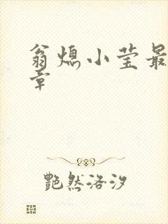 翁熄小莹最新节章