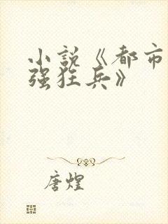 小说《都市之最强狂兵》