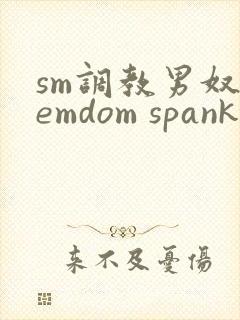 sm调教男奴femdom spanking