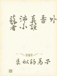 苏沛真番外篇原著小说