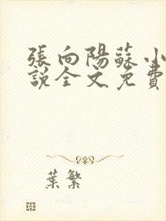 张向阳苏小棠小说全文免费阅读笔趣阁