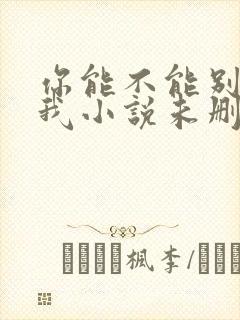 你能不能别讨厌我小说未删减在线阅读封面