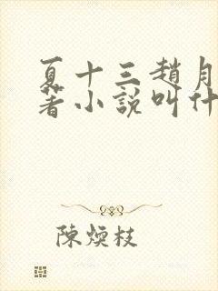 夏十三赵月荣原著小说叫什么名字封面