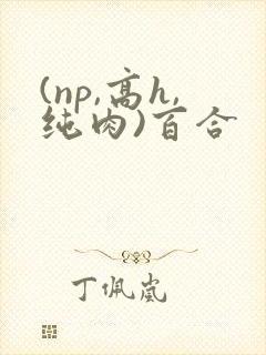(np,高h,纯肉)百合