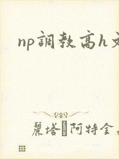 np调教高h文封面