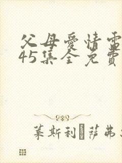 父母爱情电视剧45集全免费封面