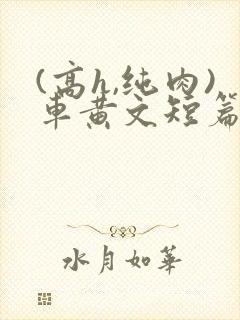 (高h,纯肉)车黄文短篇合集双飞封面