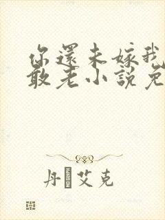 你还未嫁我怎么敢老小说免费阅读