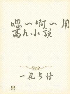 嗯～啊～用力～高h小说