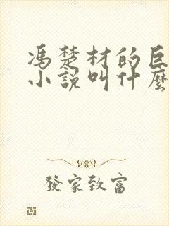 冯楚材的巨荒录小说叫什么名字