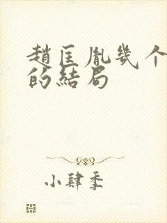 赵匡胤几个儿子的结局封面
