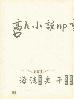 高h小说np重口