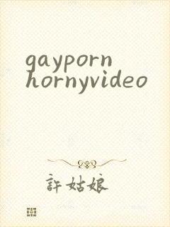 gaypornhornyvideo