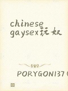 chinesegaysex玩奴