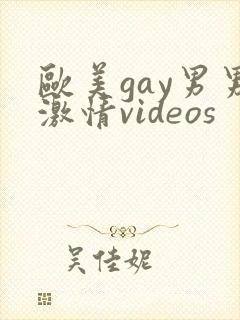 欧美gay男男激情videos封面