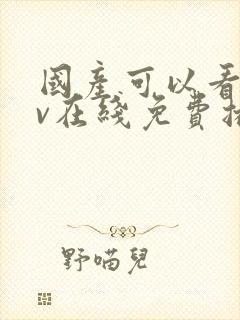 国产可以看的av在线免费播放