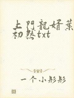 上门龙婿叶辰萧初然txt